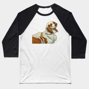 Elegant Brown Welsh Springer Spaniel Dog Baseball T-Shirt